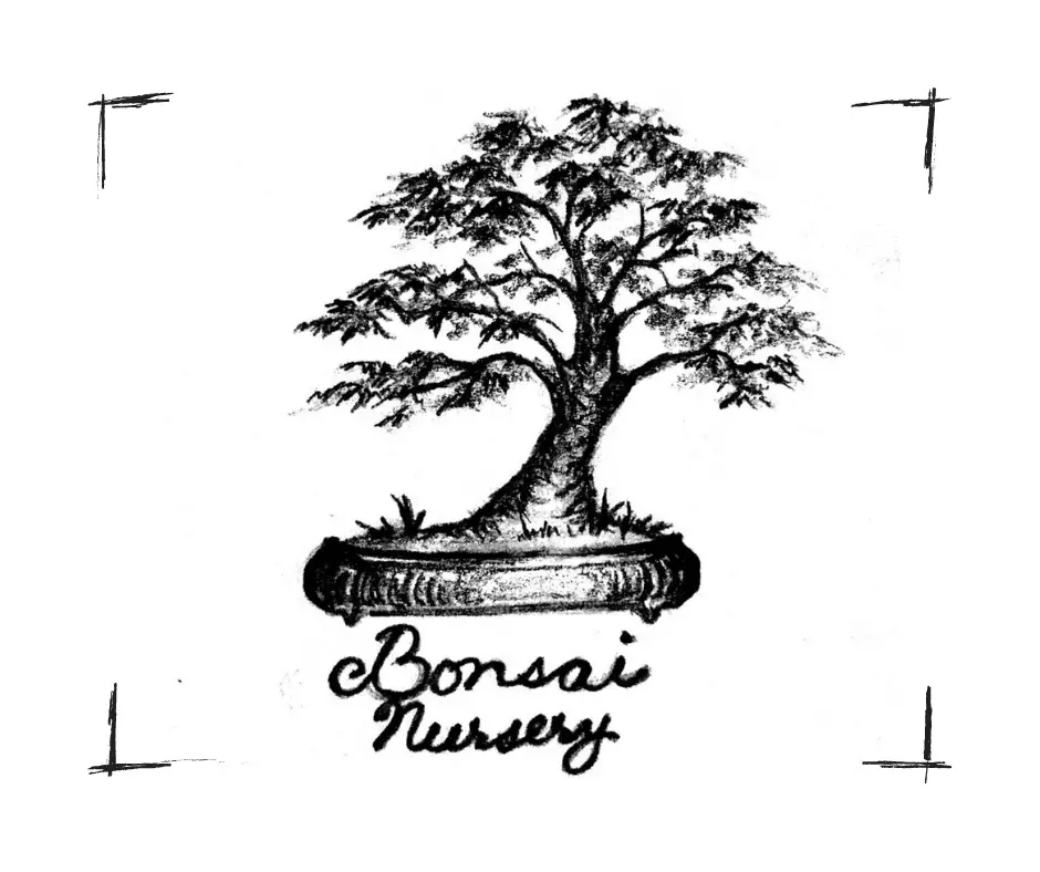 Bonsai-Nursery-Logo