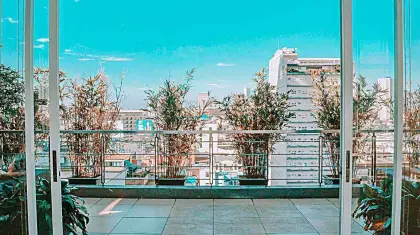 Small-Space Rooftop Garden Ideas