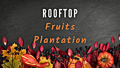 rooftop_fruits_plantation