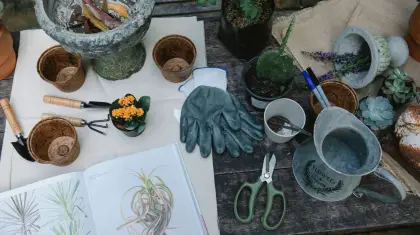 Bonsai tools