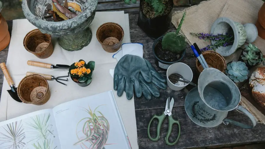 Bonsai tools