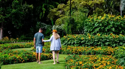 Botanic Gardens