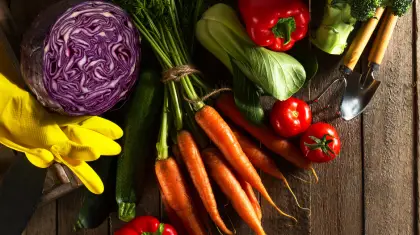 Vegetable-Gardening