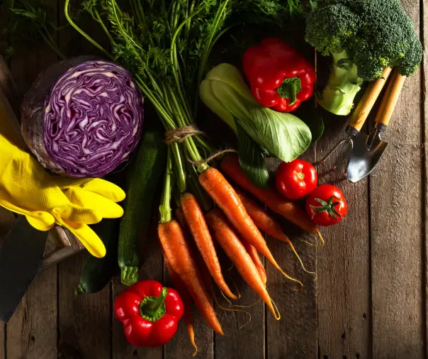 Vegetable-Gardening