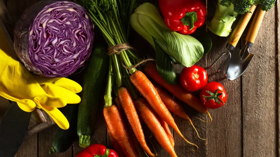 Vegetable-Gardening