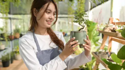 bonsai trees hard to take care of