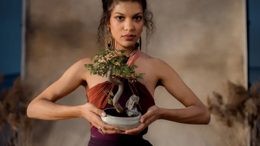bonsai-The-Art-of-Miniature-Trees