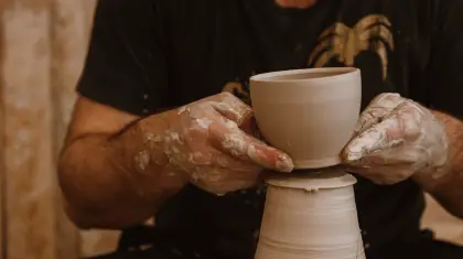 bonsai when to repot