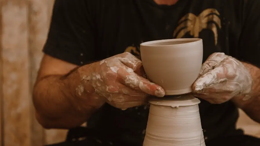 bonsai when to repot