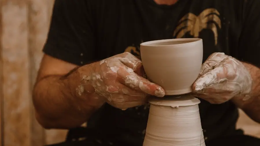 bonsai when to repot