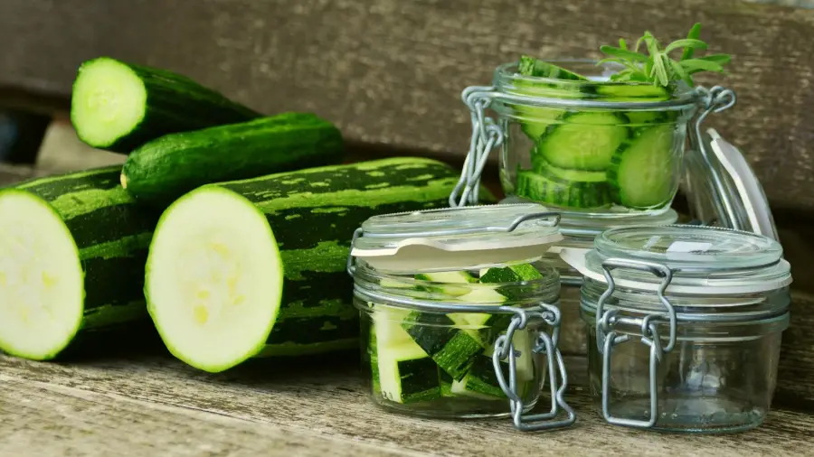 Cucumber-Gardening