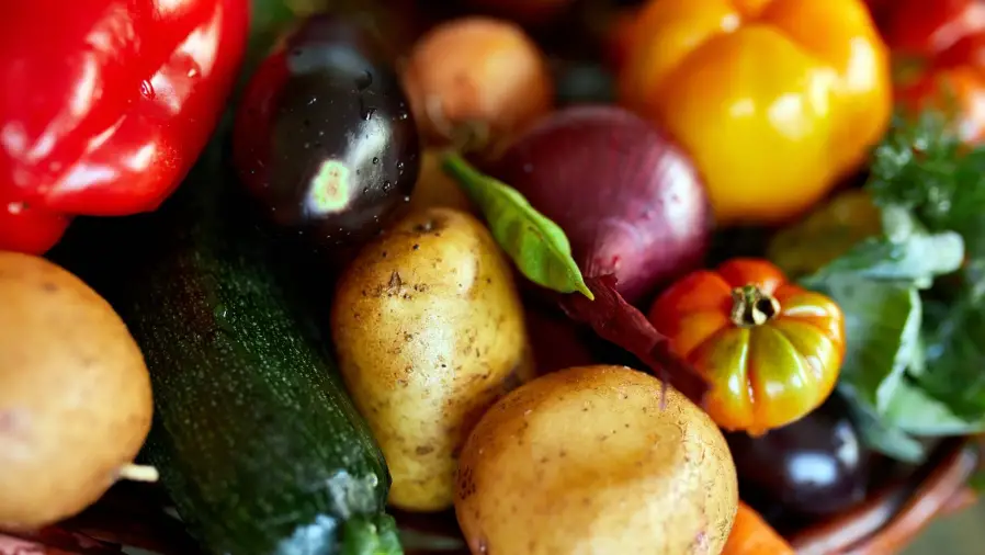 Organic-gardening