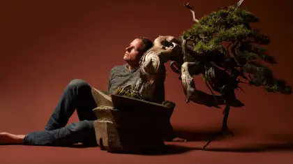 Bonsai Online Store : Discover the Power of Stunning Bonsai Trees