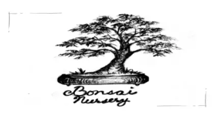 400x200 Bonsai Nursery Site