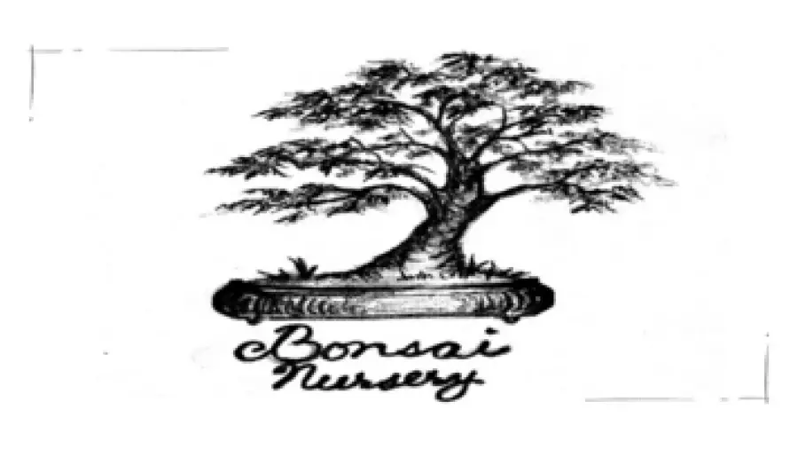 400x200 Bonsai Nursery Site