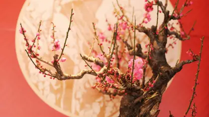 Bonsai-Inspiration