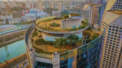 Rooftop-Gardening