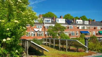 Rooftop-Gardens