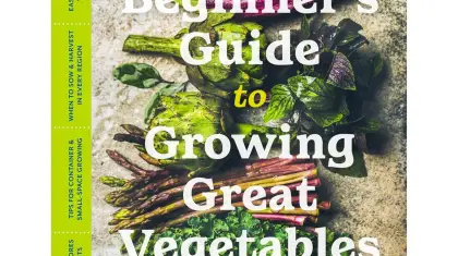 Beginners Guide to Gardening Vegetables