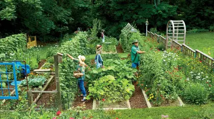 Best Gardening Vegetables