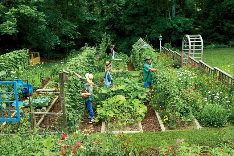 Best Gardening Vegetables
