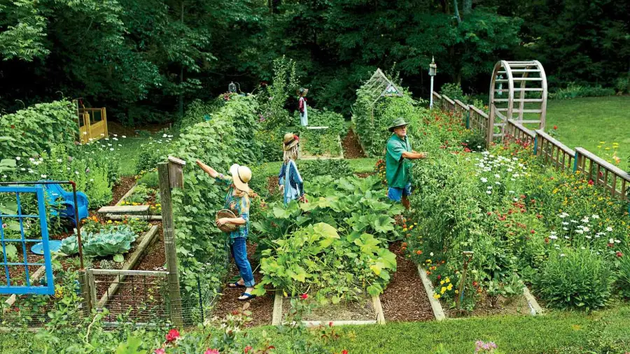 Best Gardening Vegetables