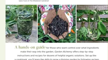 Best Soil for Container Gardening Vegetables