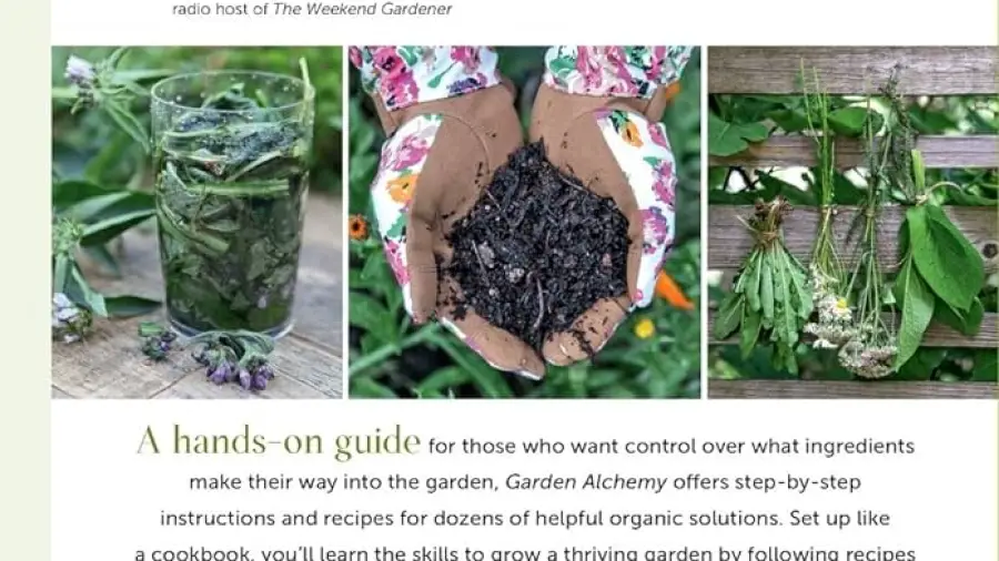 Best Soil for Container Gardening Vegetables