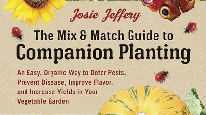 Companion Gardening Flowers And Vegetables