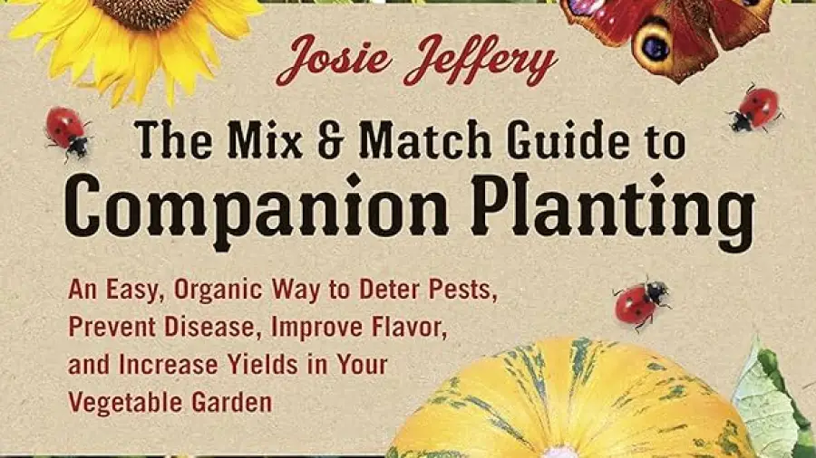 Companion Gardening Flowers And Vegetables