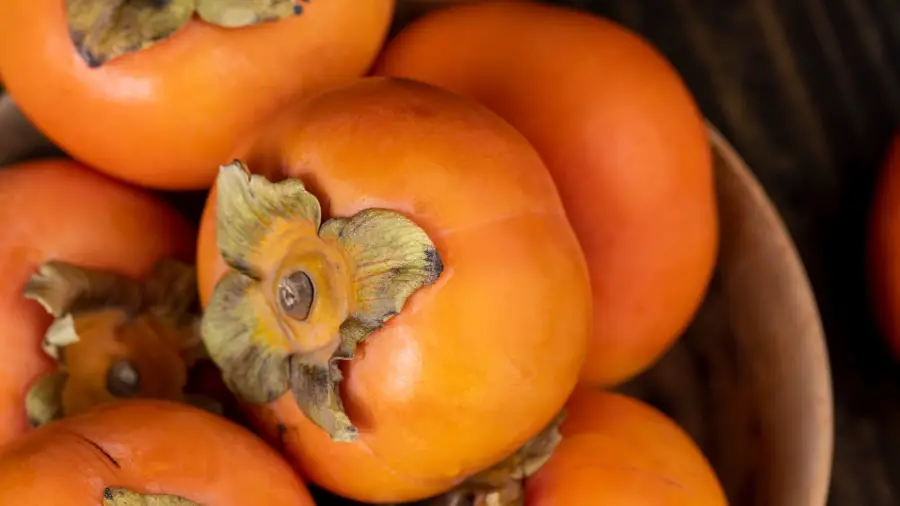 American Persimmon Bonsai
