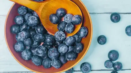 Blueberry Bonsai