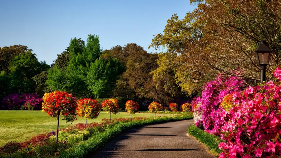 Fit Trees and Shrubs Into A Small Garden