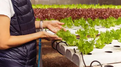 Gardening Business