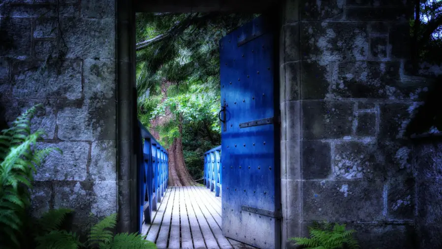 What To Do With A Dark Corner In Your Garden