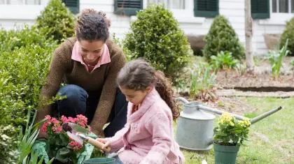 How Does Gardening Help The Environment