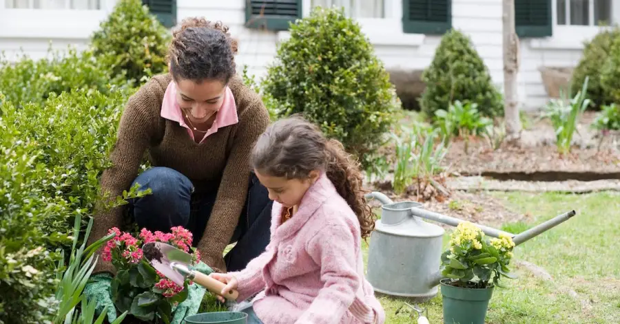 How Does Gardening Help The Environment
