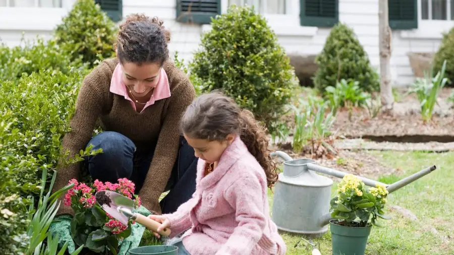 How Does Gardening Help The Environment