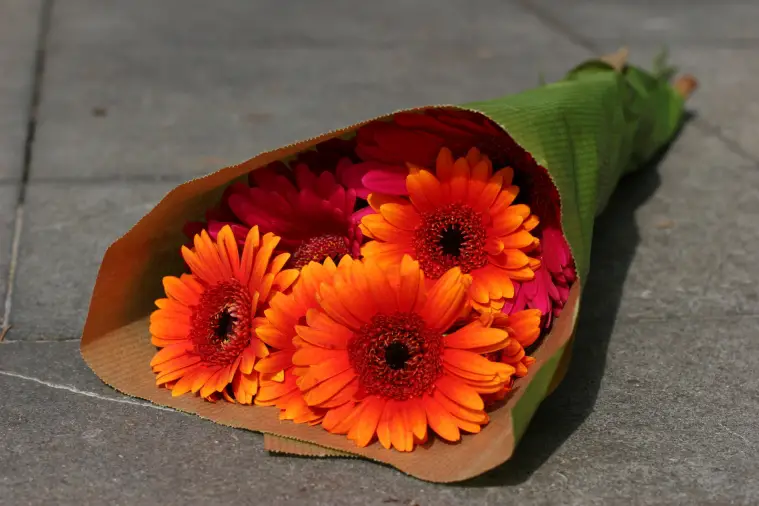 How Long Can Flowers Go Without Water