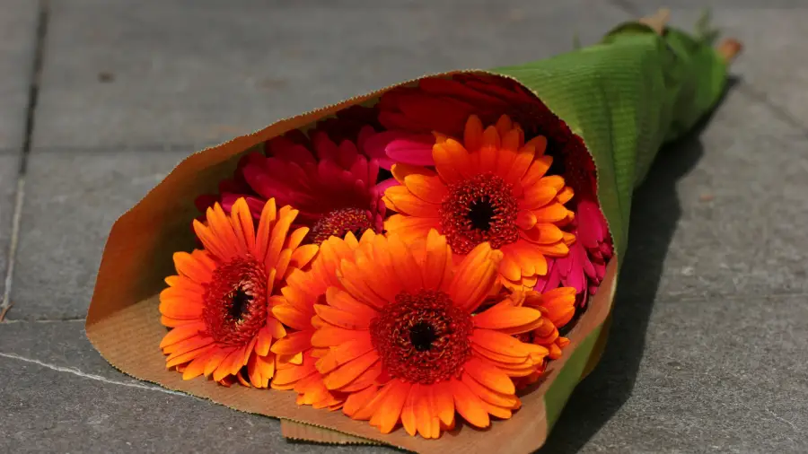 How Long Can Flowers Go Without Water