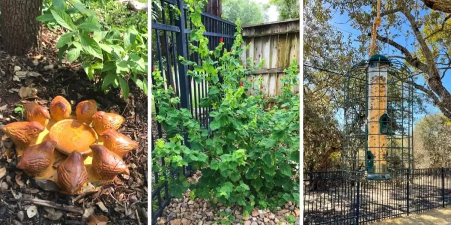 How To Make Your Yard A Wildlife Habitat