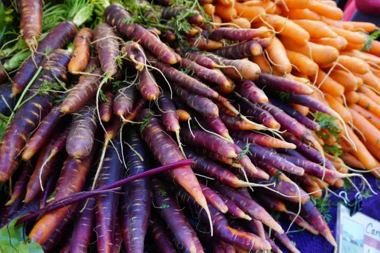What Color Is A Carrot Originally