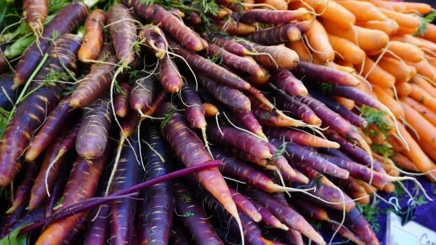 What Color Is A Carrot Originally