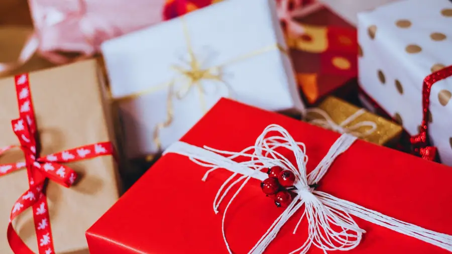 Bonsai Plants to Gift