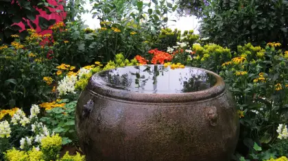 Garden Watered While on Vacation