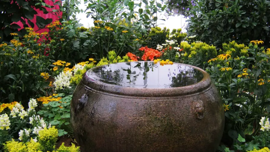 Garden Watered While on Vacation