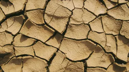 What to Do If Your Garden Soil is Clay