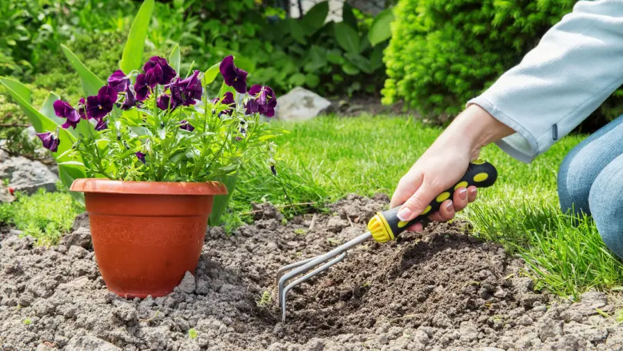 What to Know before Starting a Garden