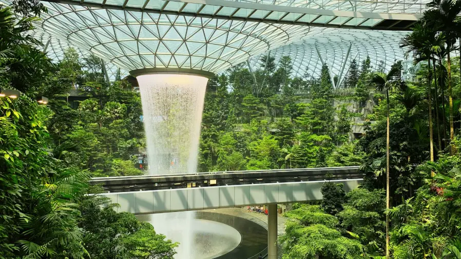 Why is Botanic Garden Important to Singapore