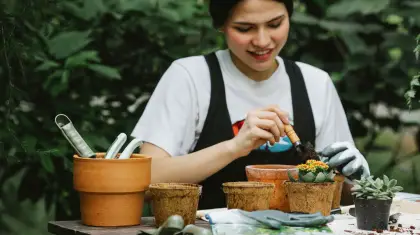 How Often Should You Fertilize Bonsai